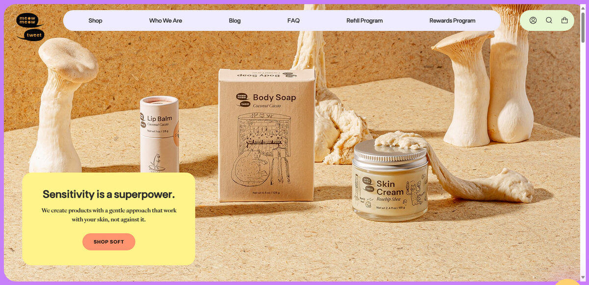 popular shopify stores